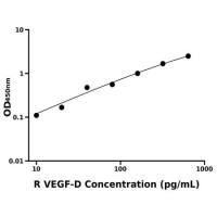 大鼠血管内皮细胞生长因子D(VEGF-D)ELISA试剂盒