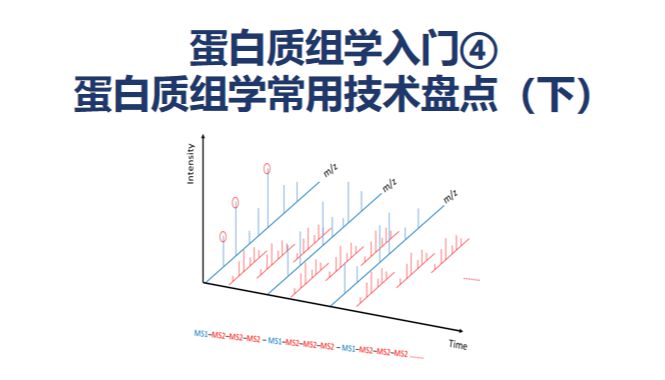 蛋白质组学基础入门系列 |（四）蛋白质组学常用技术盘点（下）
