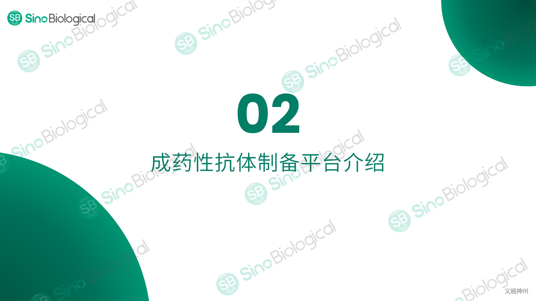 ppt