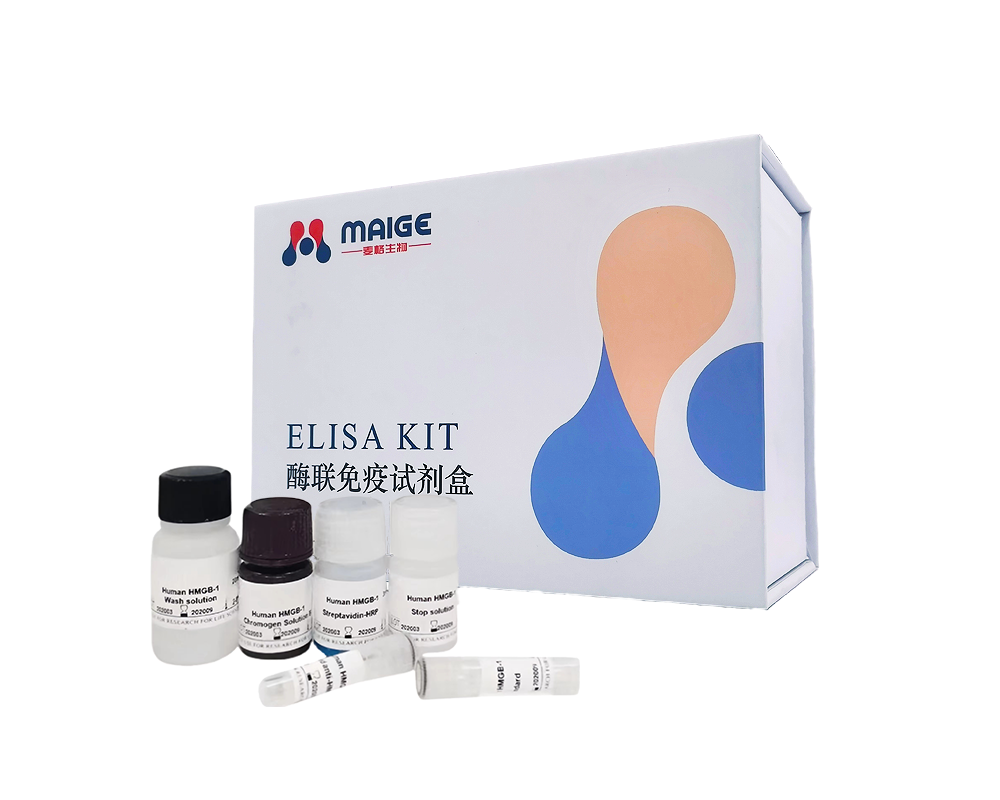 麦格ELISA｜限时特惠