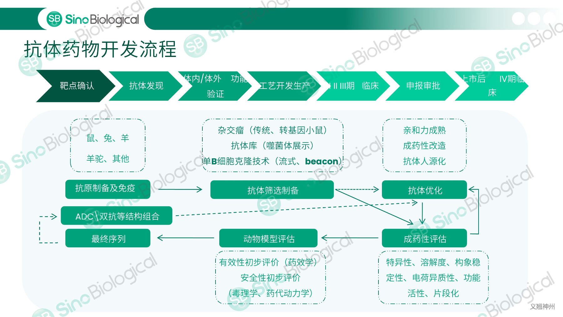 ppt