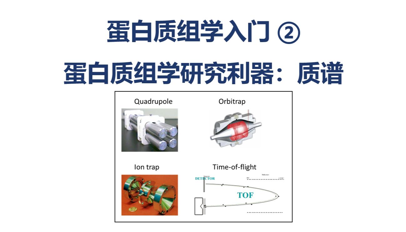 蛋白质组学基础入门系列 |（二）蛋白质组学研究利器——质谱