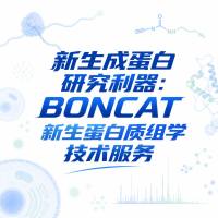 新生成蛋白研究利器：BONCAT新生蛋白质组学技术服务