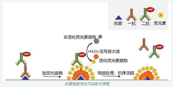 新闻图片4
