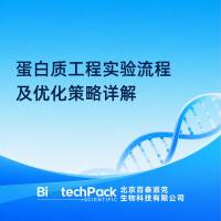 蛋白质工程实验流程及优化策略详解