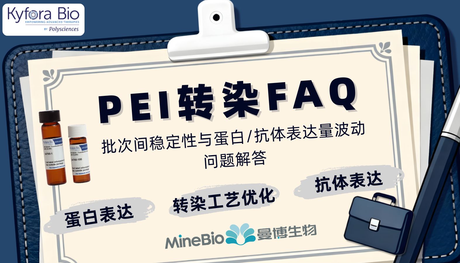 Polysciences PEI转染FAQ：批次间稳定性与蛋白/抗体表达量波动问题解答