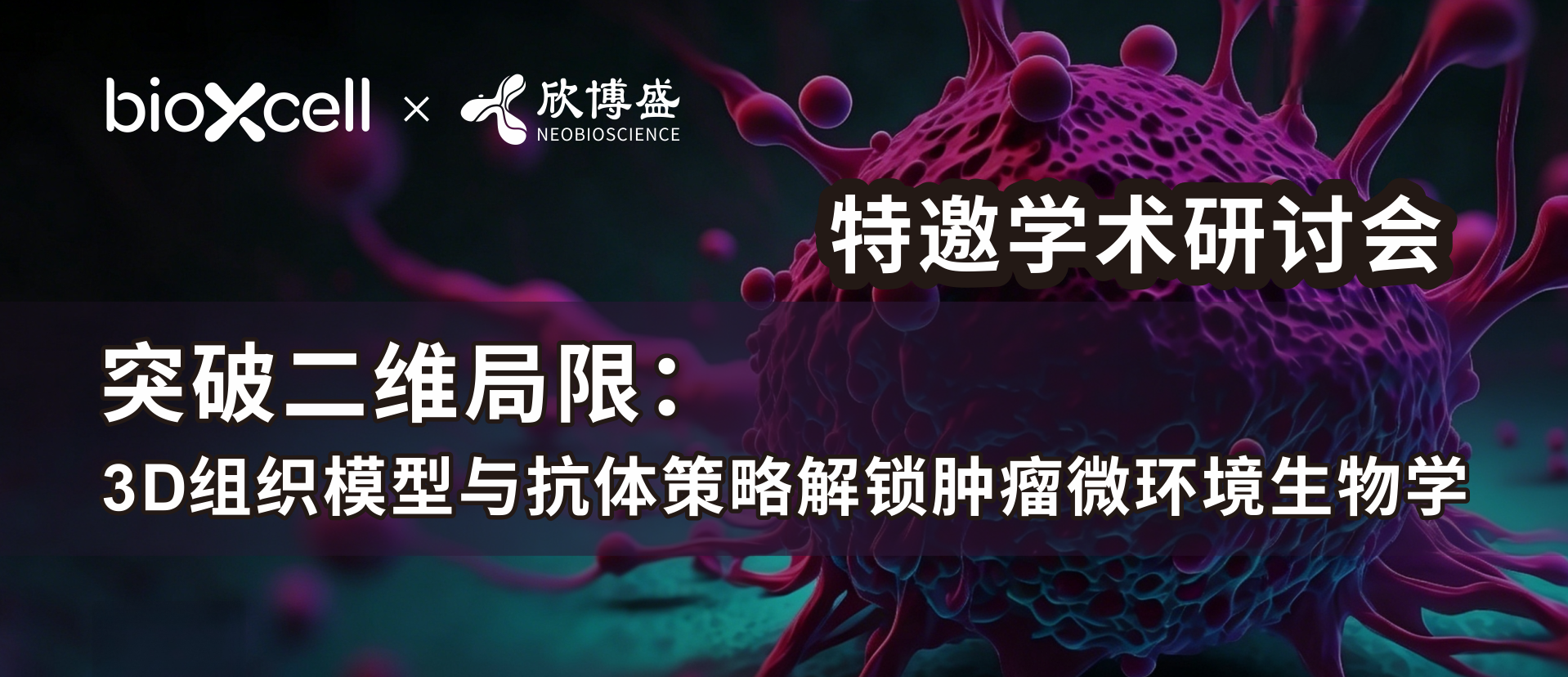 突破二维局限：3D组织模型与抗体策略解锁肿瘤微环境生物学
