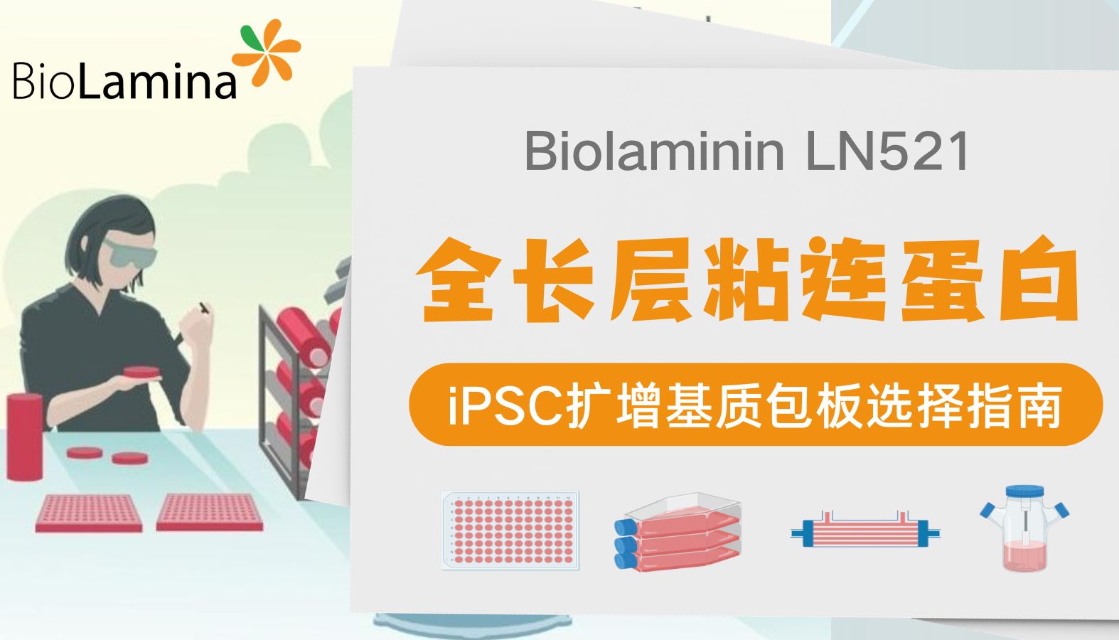 BioLamina|全长层粘连蛋白521|LN521|iPSC扩增基质包板选择指南
