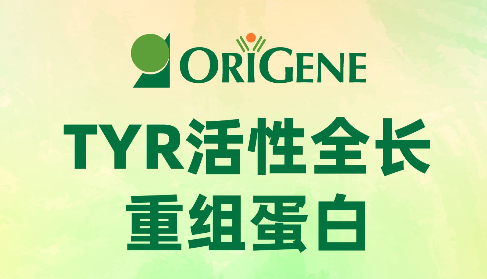 精品蛋白丨TYR活性全长重组蛋白