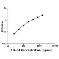 大鼠白介素34(IL-34)ELISA试剂盒