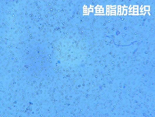 新闻图片3