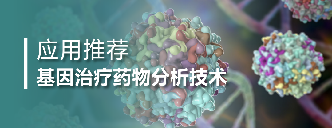 腺相关病毒(AAV)脱酰胺化变异体的疏水色谱分析