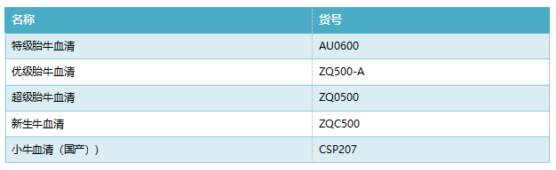 新闻图片3