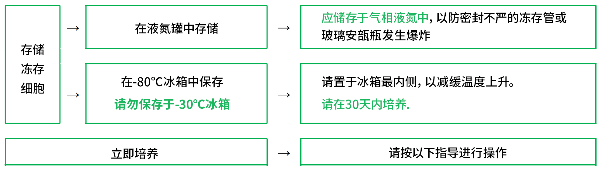 0817808929148775.jpg