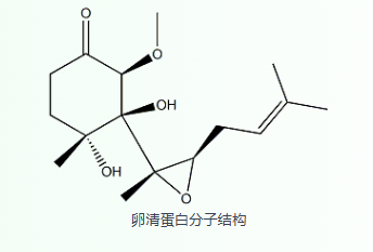 为什么鸡蛋清白蛋白能成为免疫学和生物化学研究中的多功能工具蛋白？