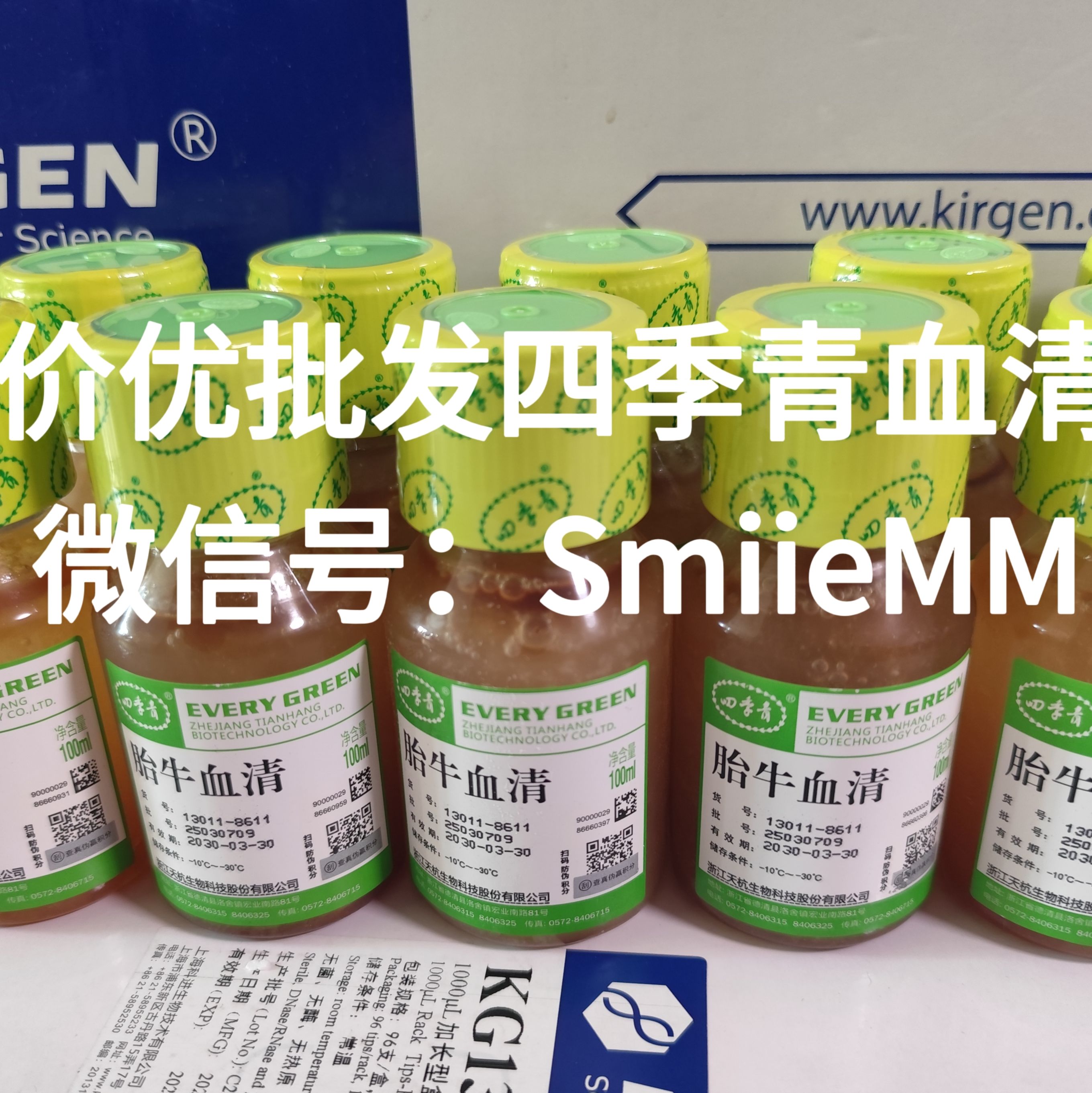 特价批发 四季青13011-8611无噬菌体低内毒素特级胎牛血清