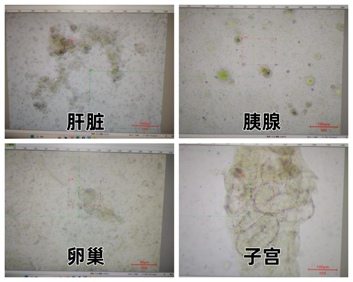 新闻图片8