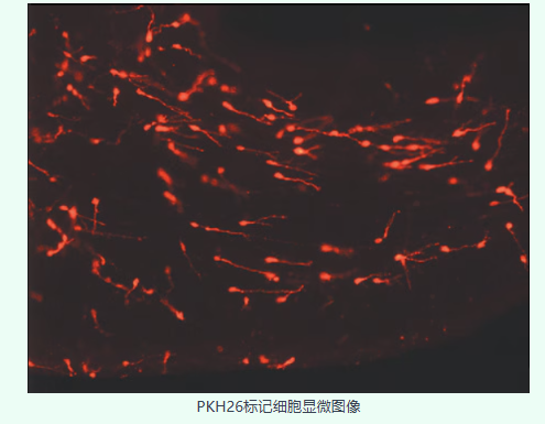 新闻图片2