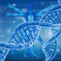 外泌体 RNA 提取试剂盒