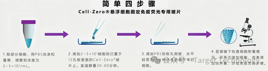 方案|悬浮细胞如何固定牢做好免疫荧光？
