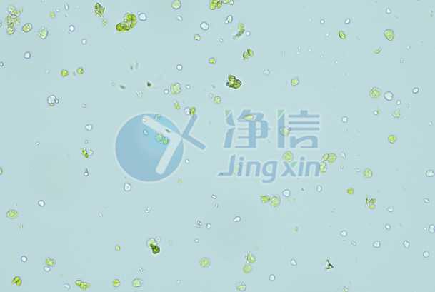 新闻图片7
