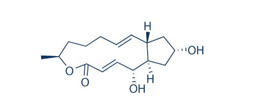 布雷菲德菌素A如何成为阻断细胞内蛋白质运输的分子开关？