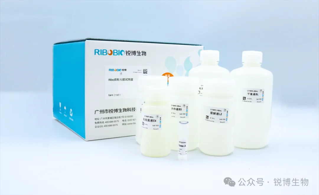 新品上市丨Ribo质粒大提试剂盒