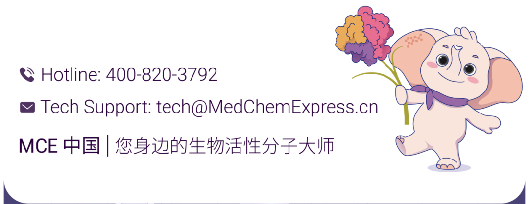 新闻图片1