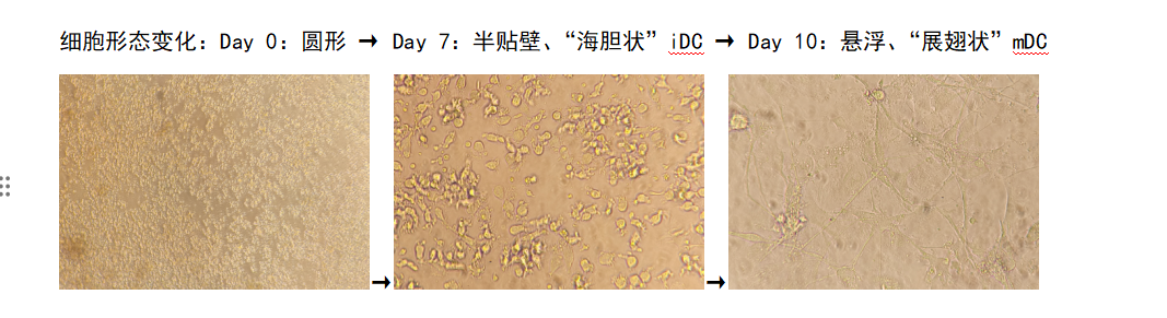技术资料图片1