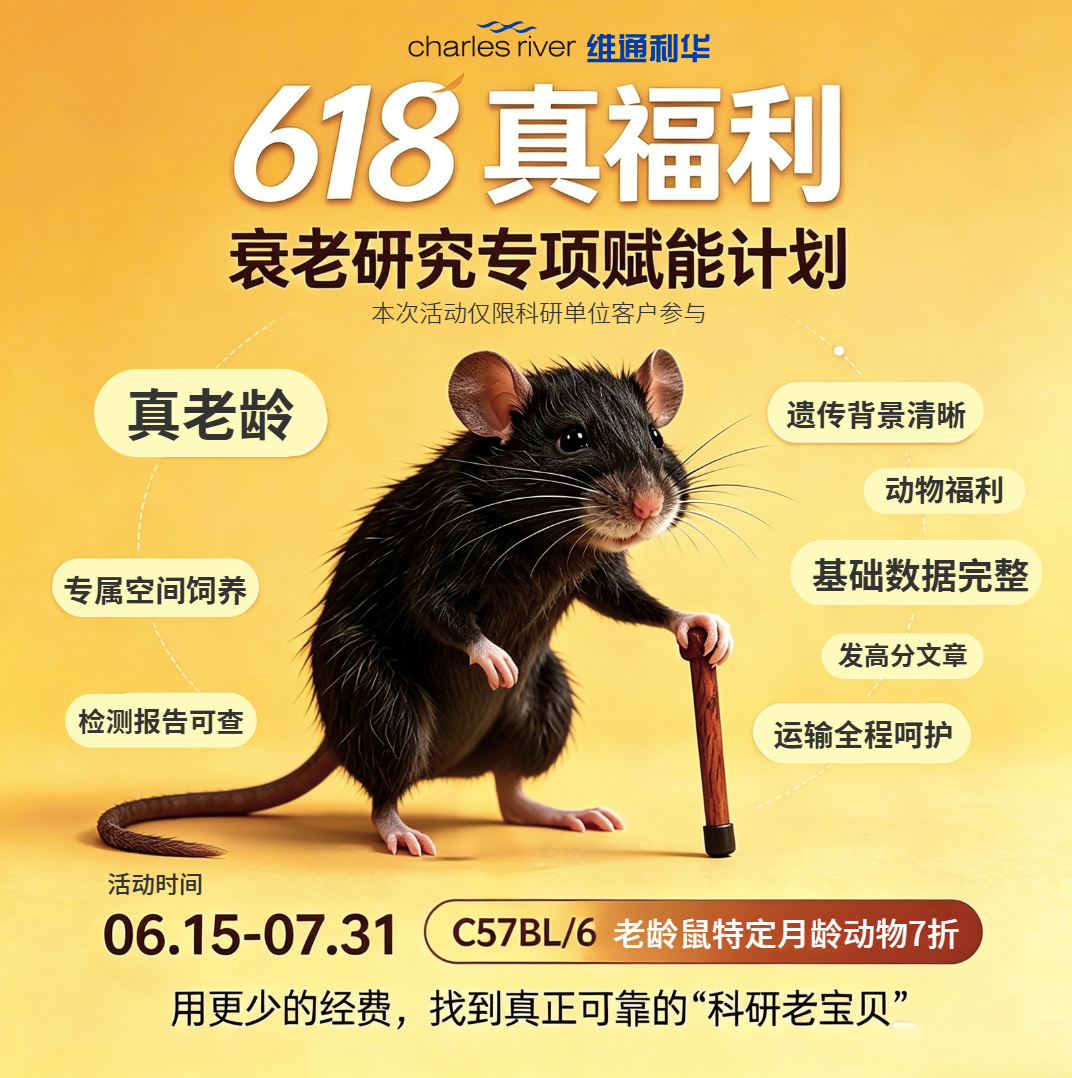 拒绝“盲盒式”采购！挑选老龄鼠的这8个“硬核指标”看准了才靠谱
