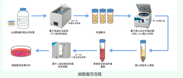 新闻图片2