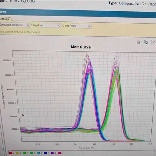 实时荧光定量PCR(qPCR)分析