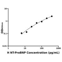 人氨基端前脑钠素(NT-ProBNP)ELISA试剂盒