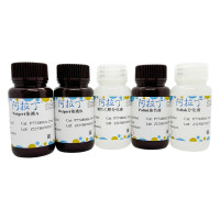 Pollak三色染色液,BioReagent, 生物染色剂, 用于显微镜,阿拉丁