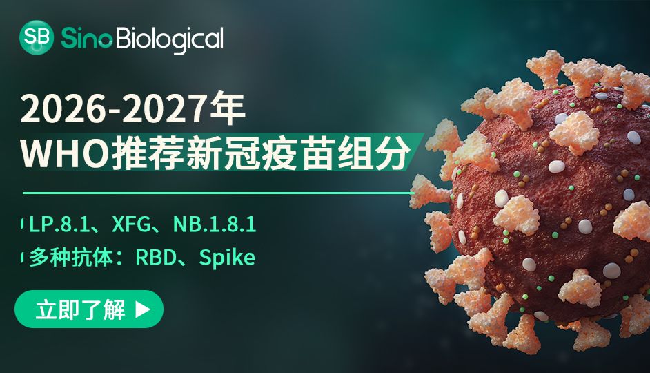 WHO 更新新冠疫苗组分建议，义翘神州提供 LP.8.1 等突变株科研试剂