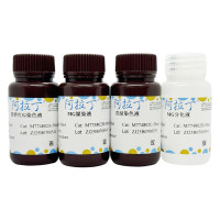 髓鞘染色液 (丽春红G法)，BioReagent, 生物染色剂, 用于显微镜，阿拉丁