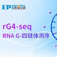 rG4-seq上线,捕获RNA G-四链体折叠图谱