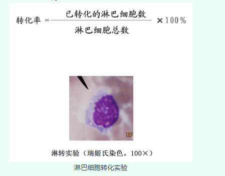 新闻图片5