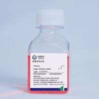 类器官消化液