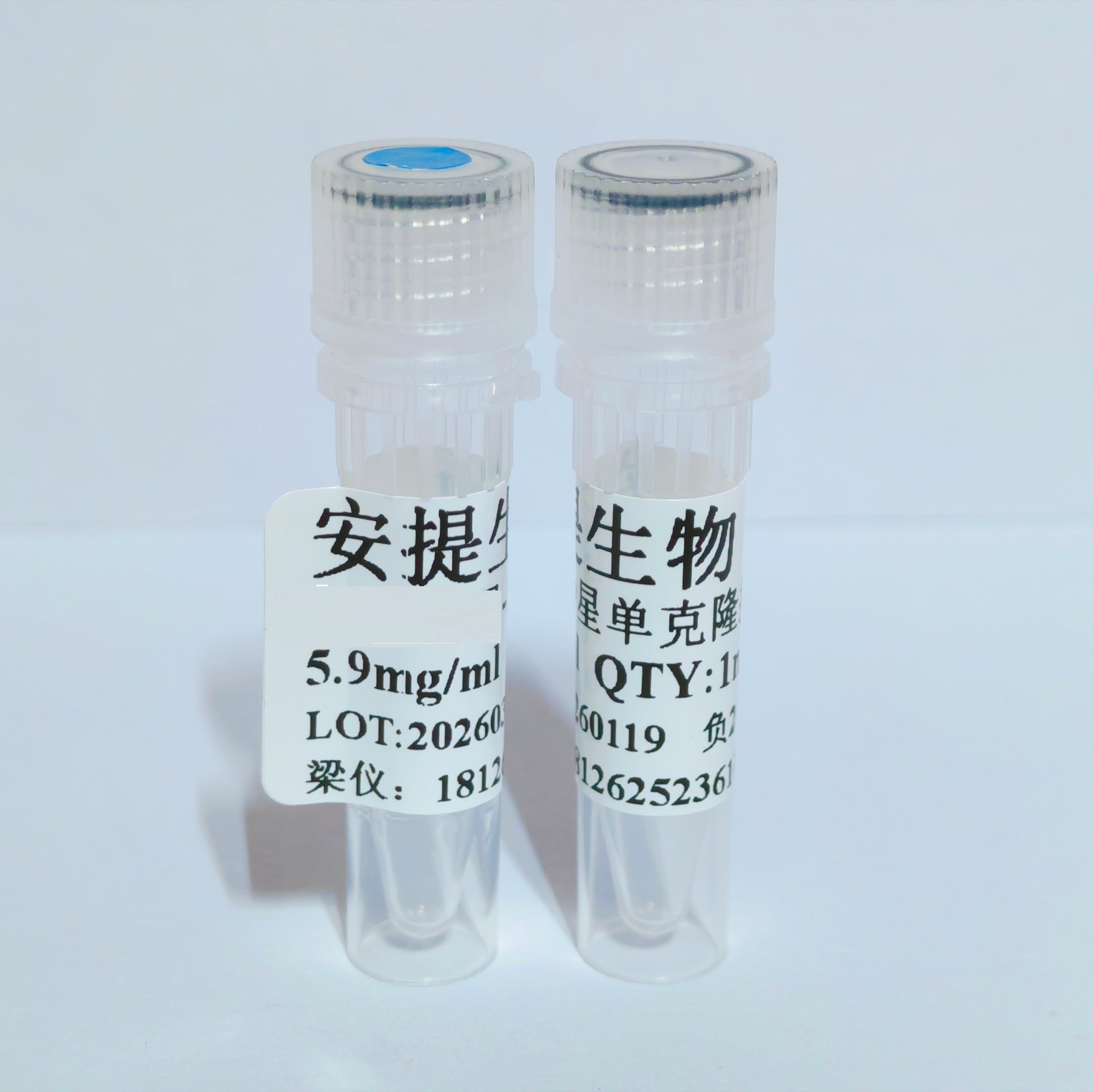 本线磷-BSA抗原 本线磷偶联抗原 本线磷完全抗原