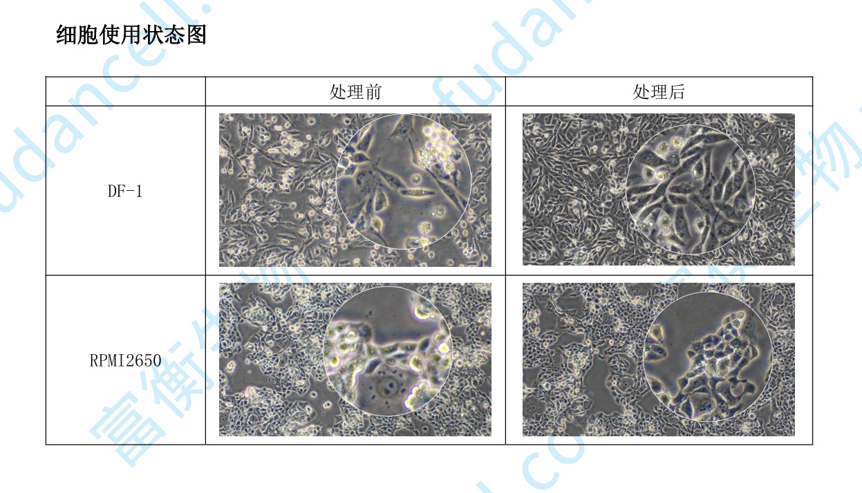产品细节图片1