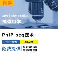 抗体组学/噬菌体免疫沉淀测序技术/PhIP-seq技术
