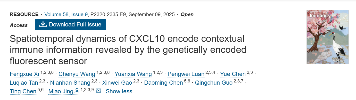 基因编码荧光传感器揭示CXCL10时空动态编码免疫环境信息