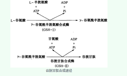 新闻图片2
