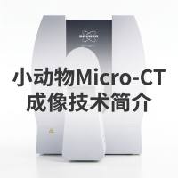 小动物Micro-CT成像技术简介