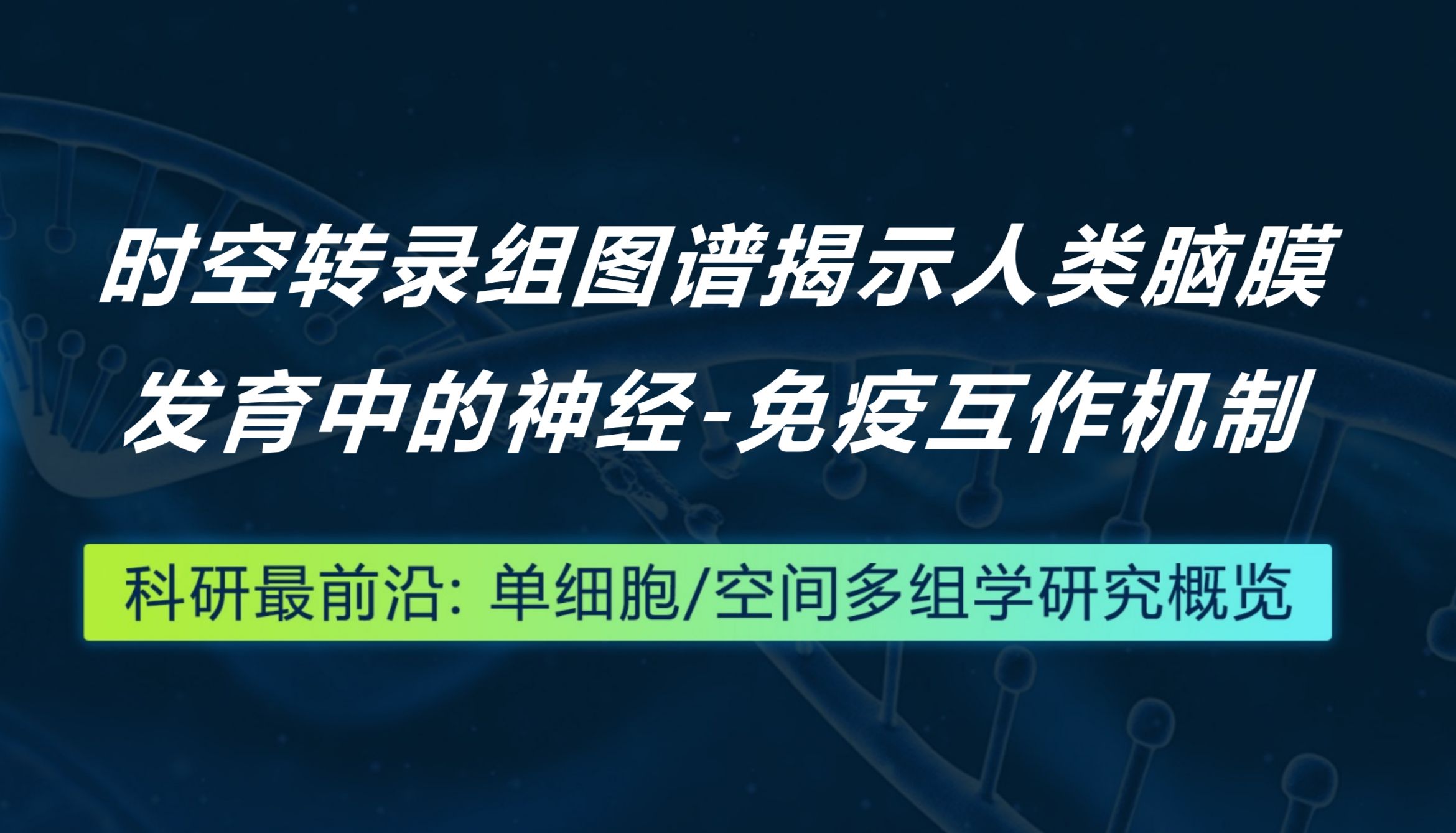 Cell丨时空转录组图谱揭示人类脑膜发育中的神经-免疫互作机制