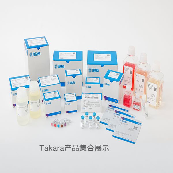 酵母培养基-既往产品