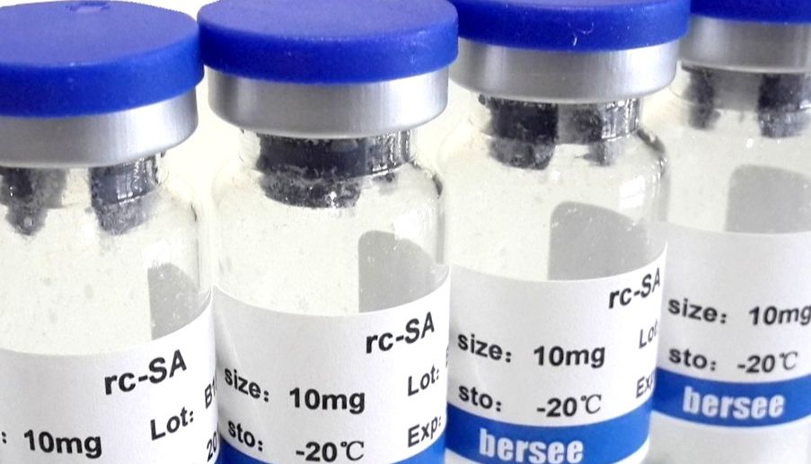 链霉亲和素 大肠杆菌表达 高活性 科研体外检测用蛋白 高纯度冻干粉试剂