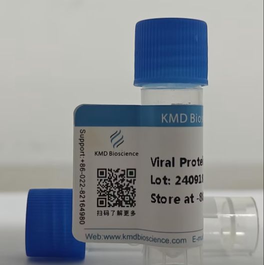 Recombinant SARS-CoV-2/COVID-19 RBD Protein (K417N, E484K, N501Y), His Tag