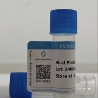 Recombinant SARS-CoV-2/COVID-19 RBD Protein (N501Y), His Tag